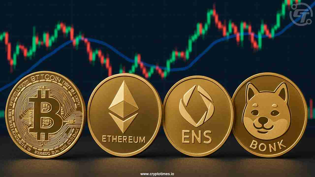 比特币、山寨币、模因币：在新一轮牛市中穿越加密货币动物园