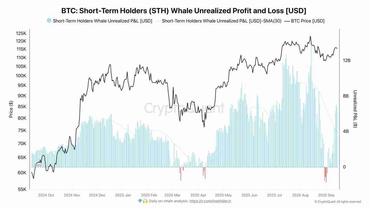 比特币（BTC）分析师深度分析：第九次看涨RSI信号触发后或将迎来35%暴涨行情