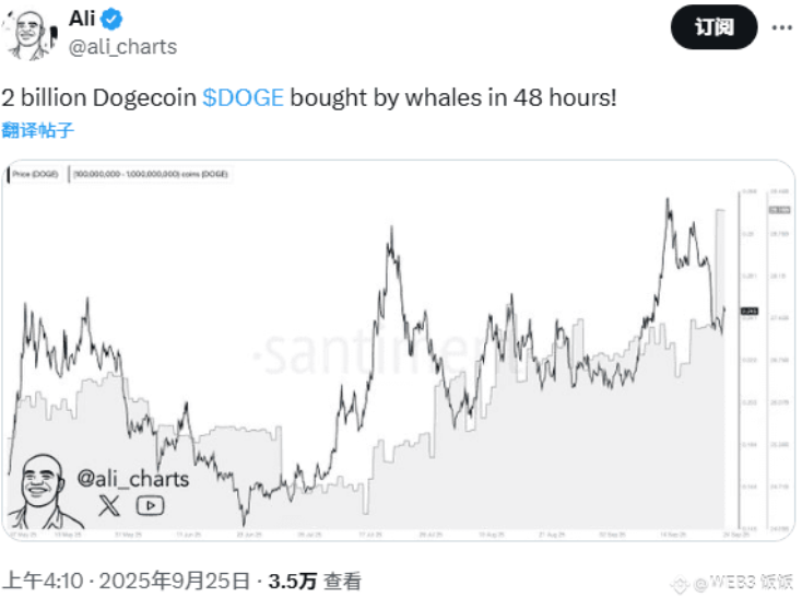 鲸鱼两天狂扫20亿DOGE！狗狗币要暴涨800%还是崩盘见血？ - php中文网