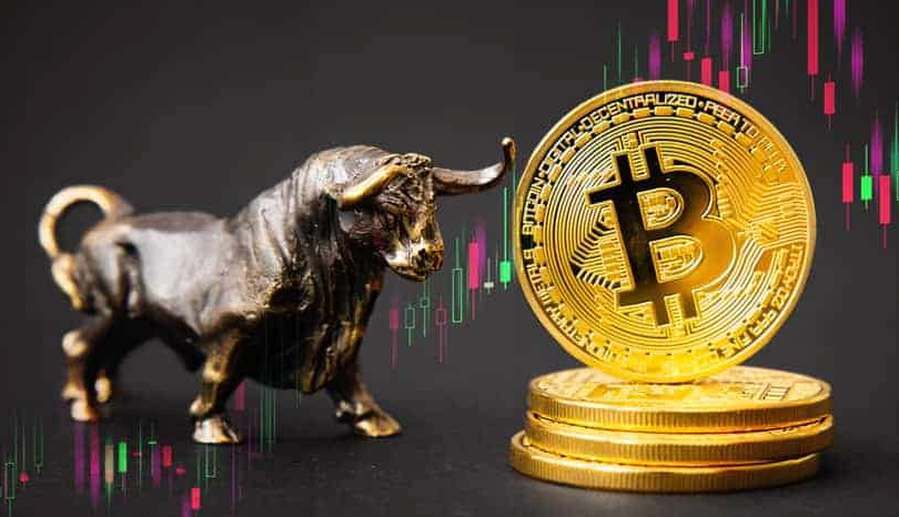 永续合约怎样做才不亏 虚拟货币永续合约投资注意事项 - php中文网