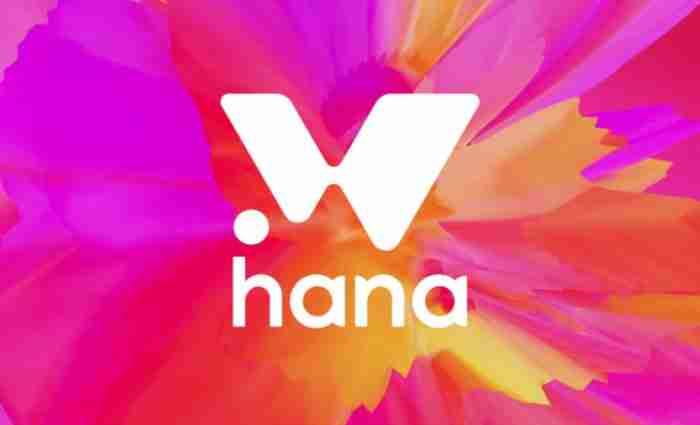 Hana Network(HANA)币是什么?值得投资吗?HANA代币经济与前景分析