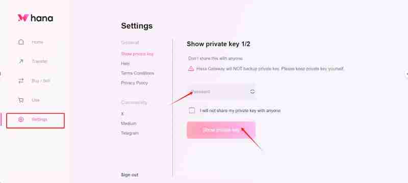 Hana Network(HANA)币是什么?值得投资吗?HANA代币经济与前景分析