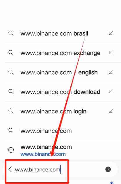 在中国苹果手机如何下载币安APP?币安中文版APP苹果手机下载指南