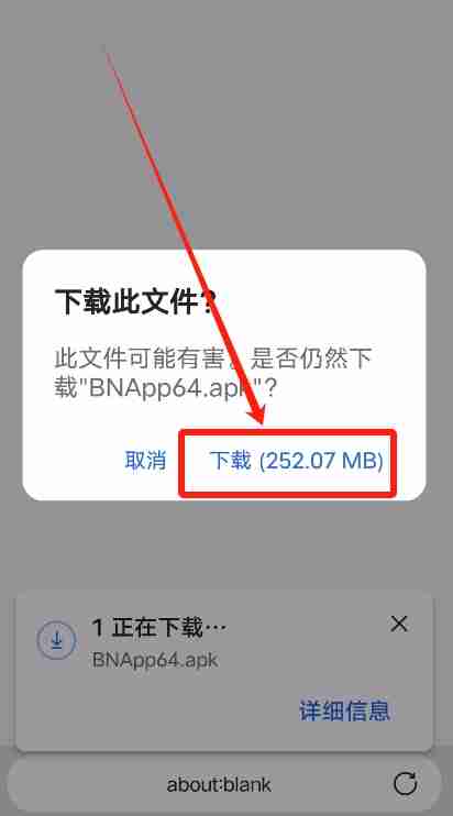 在中国苹果手机如何下载币安APP?币安中文版APP苹果手机下载指南