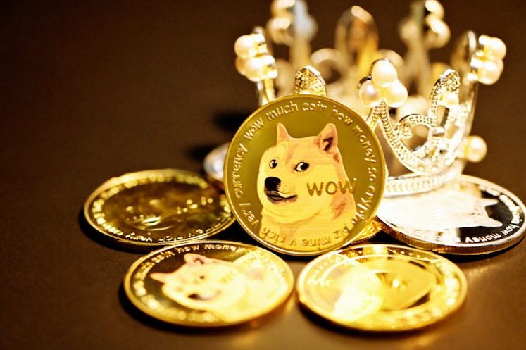 DOGE币价能涨多高？2025年狗狗币达到0.5美元的概率有多大？ - php中文网