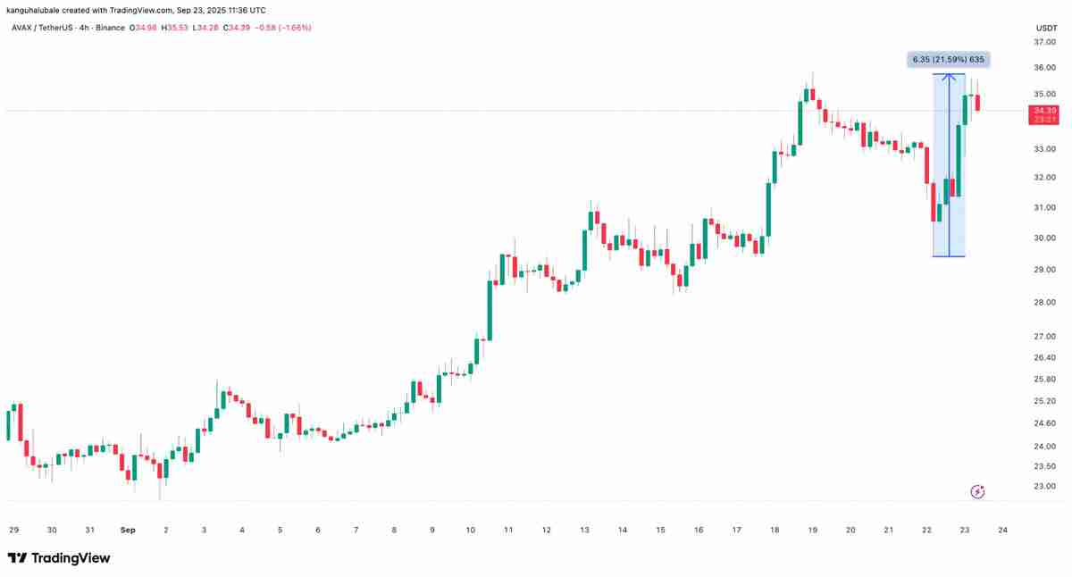 Avalanche逆势上扬，AVAX价格暴涨10%——一文了解背后原因揭秘