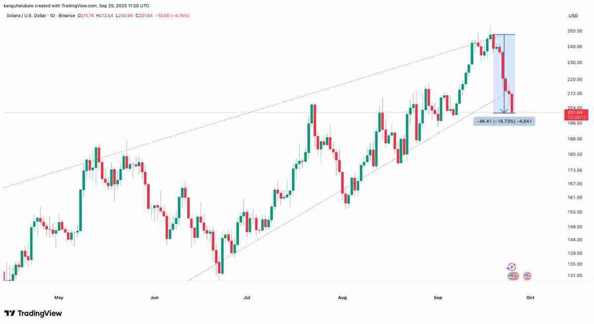 索拉纳（Solana）未平仓合约飙至 7,200 万枚 SOL 历史新高，价格却持续走低