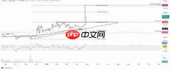 XMR币能否涨到1000美元