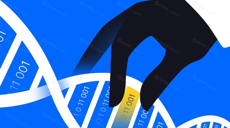 什么是token?如何交易?和coin有什么区别? - php中文网