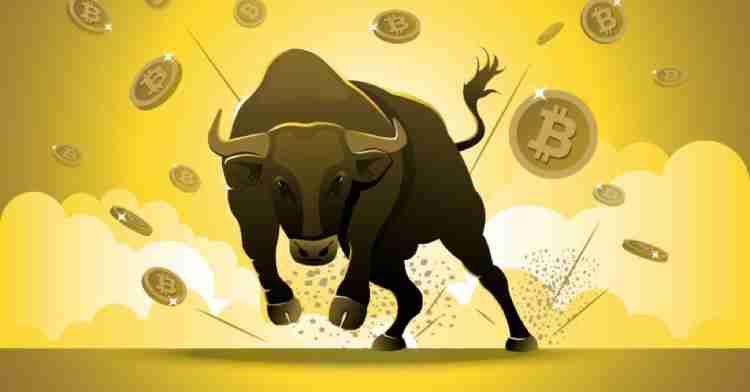 什么是加密货币牛市?2021年和2025年牛市之间有什么区别?一文详解