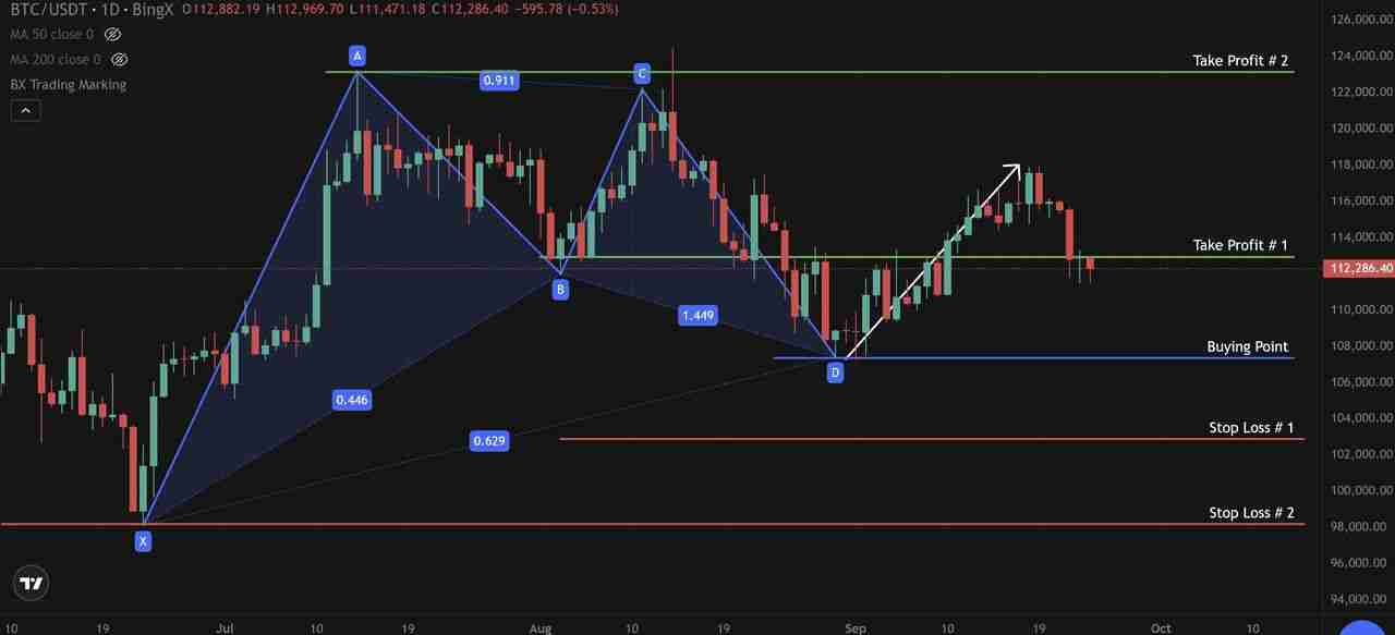 什么是 Gartley(伽特力) 模式?如何利用它找出加密货币市场反转点的技巧