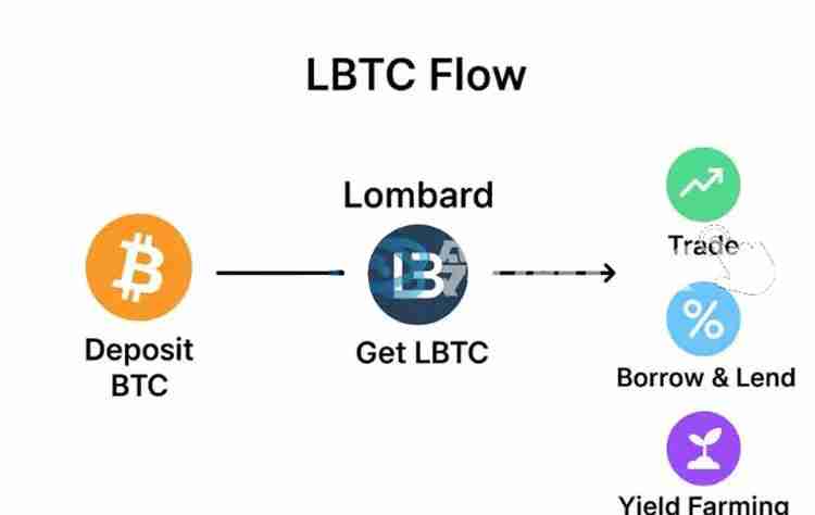比特币(BTC)Finance 复兴:谁在改变行业,谁在被行业改变?