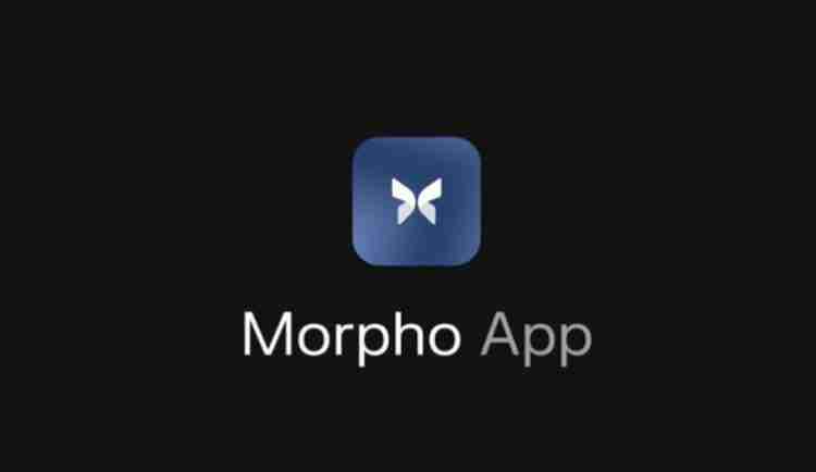 Morpho(MORPHO)币是什么?未来潜力如何?MORPHO代币经济与价格预测