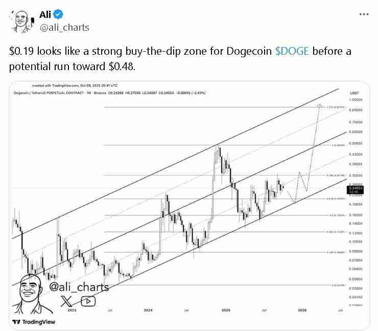 狗狗币价格预测:多头能否引发 0.25 美元的突破?一文分析