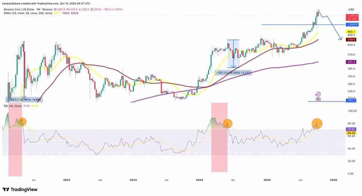 一文了解BNB价格较历史高点下跌12%:牛市行情是否终结?