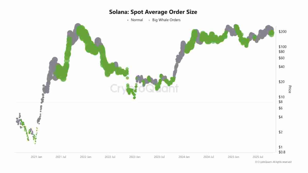 数据显示76%散户做多索拉纳,SOL反弹至200美元关口能否守住?一文了解