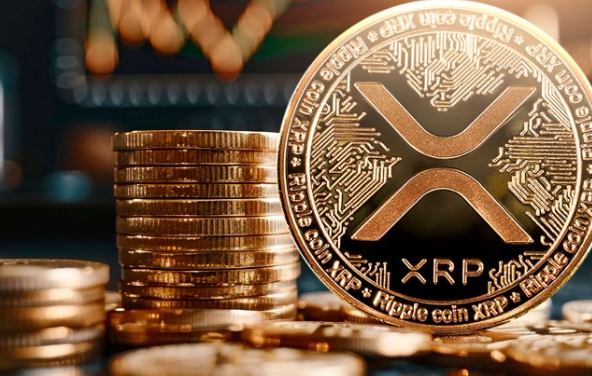 XRP官网最新登录入口地址 XRP官方网站访问入口2025版 - php中文网