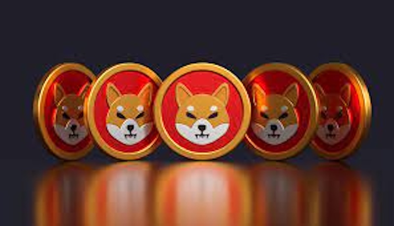 柴犬币（shib）是什么？未来前景、价格预测及购买指南 - php中文网