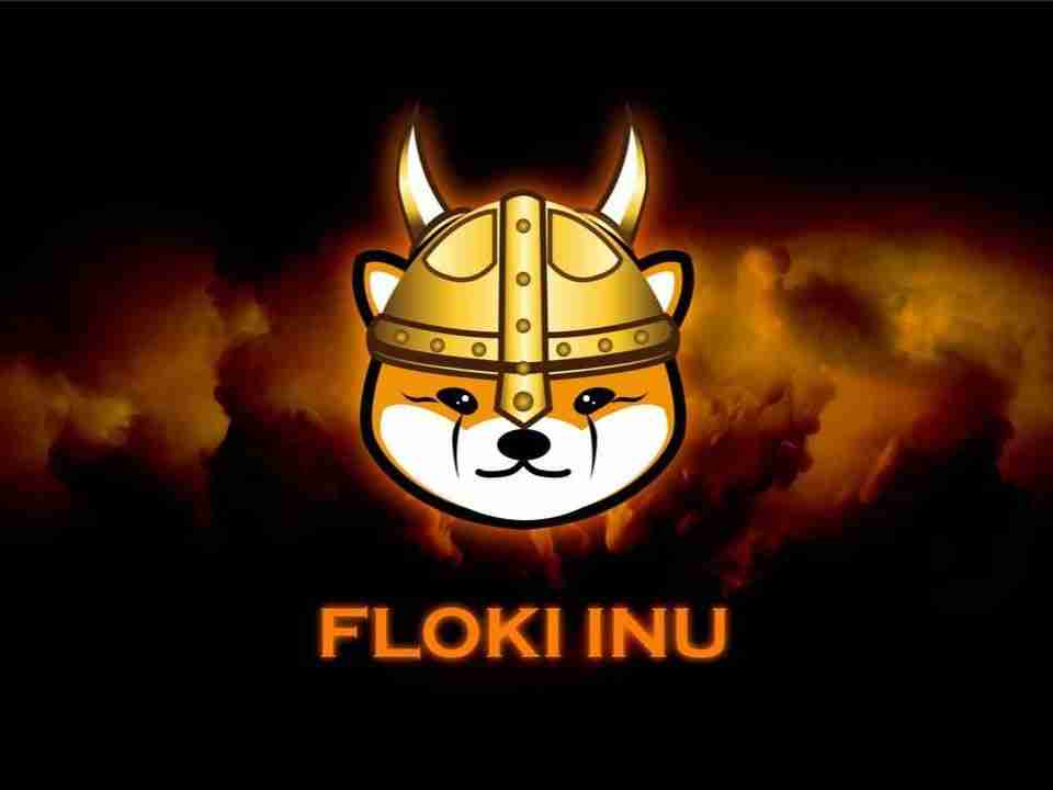 FLOKI未来如何？怎么买？FLOKI价格预测：2026年、2030年、2050年