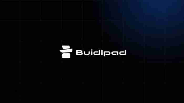 上线4个项目均登陆币安,加密募资平台Buidlpad崛起的关键是什么?简单分析