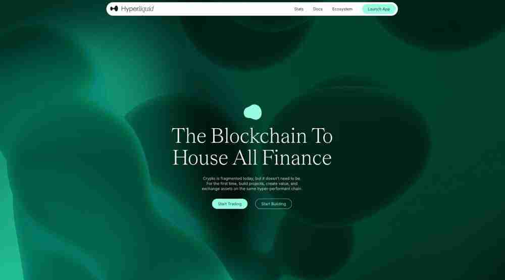 什么是Hyperliquid (HYPE)币？未来前景如何？HYPE币2025, 2026-2030年价格预测