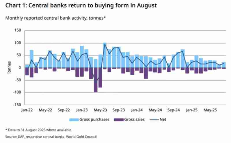 当黄金领涨时 我们为何仍坚定配置比特币（BTC）？一文了解
