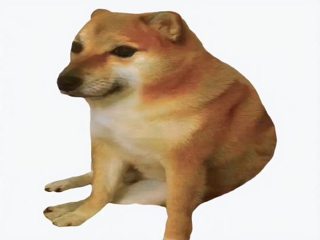 狗狗币在8月份能涨到多少 - php中文网