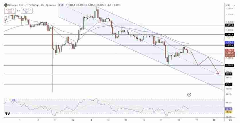 BNB价格预测：BNB的积极周表现对其余山寨币市场意味着什么？