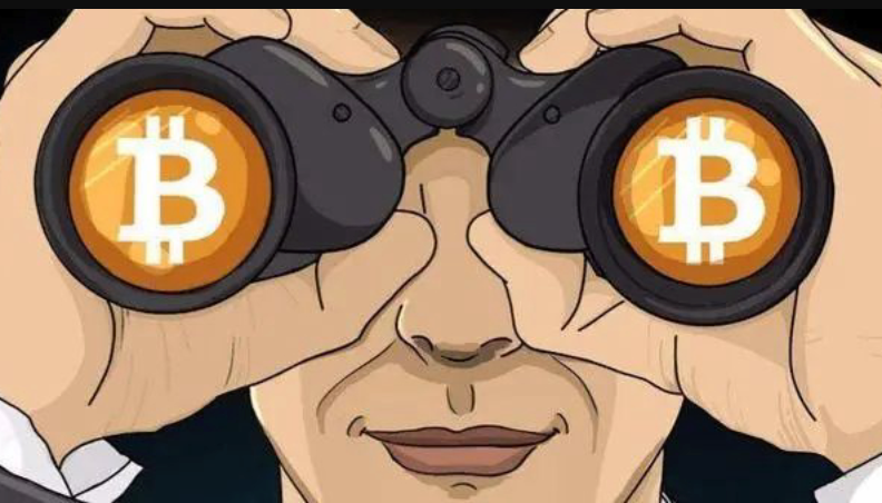 2026年1月最值得投资的十大加密货币 - php中文网