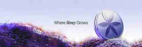 近期值得关注的8个稳定币项目有哪些？一文盘点