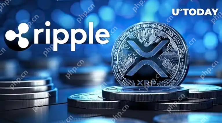 Ripple (XRP) 价格分析：SEC诉讼结束后，XRP会一飞冲天吗？ - php中文网