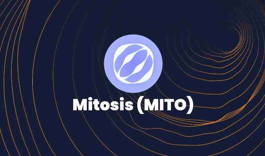 什么是Mitosis (MITO)币？值得买吗？MITO代币经济学及价格预测