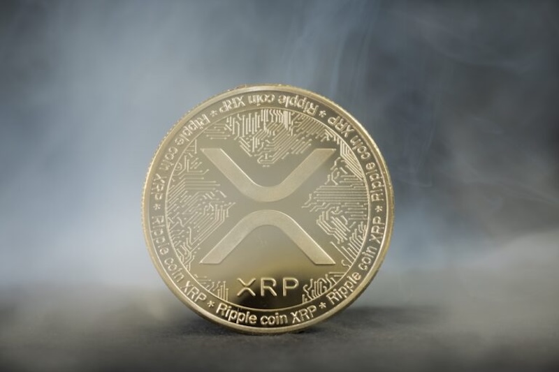 首只美国现货xrp etf上市,开盘交易量达5800万美元,创年度最佳纪录 - php中文网