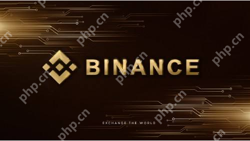 客服小何是什么币?币安新上线项目全解析 - php中文网