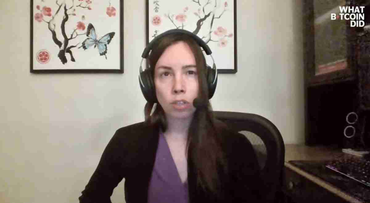 Lyn Alden:加密市场尚未达到”狂热水平“,比特币(BTC)不会出现重大崩盘