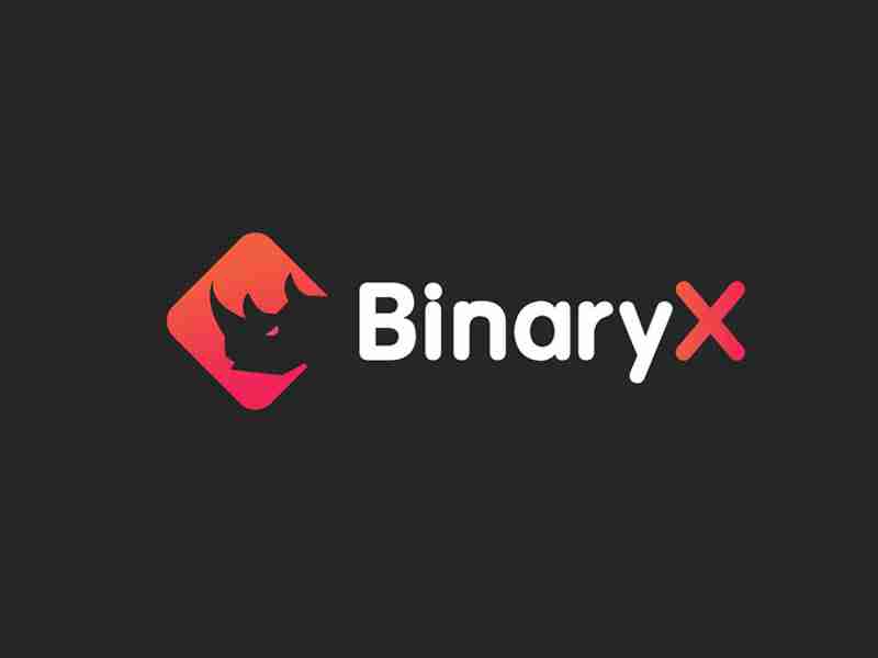 什么是 binaryx (bnx)币?bnx工作原理、代币经济学及价格预测