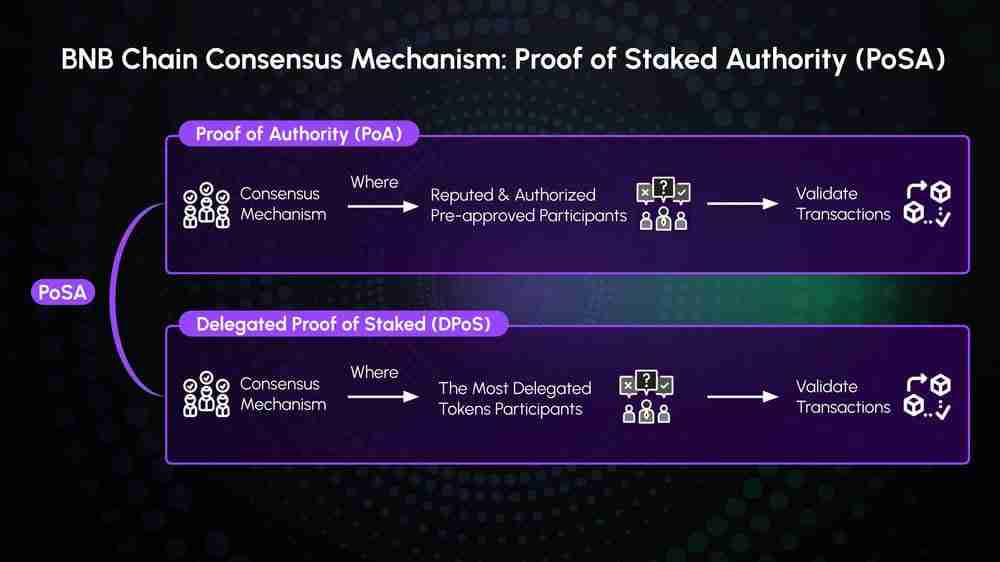 什么是BNB币?如何获取?BNB币发展历史、工作原理和获取方法